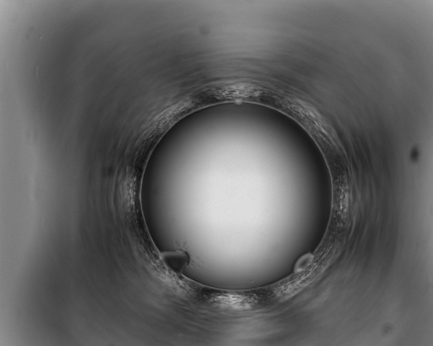 X0000100850326200806271141