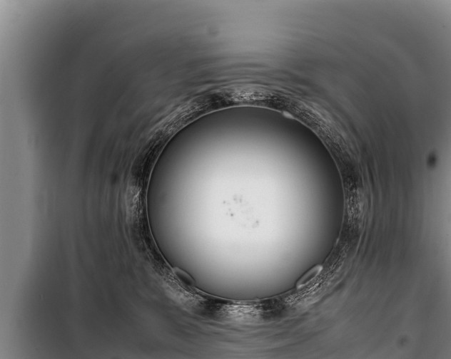 X0000100850327200806271141