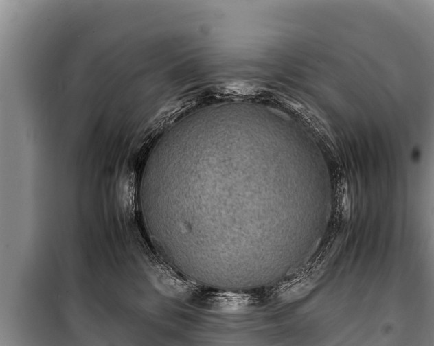 X0000100850328200806271141