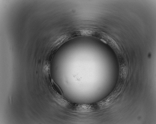 X0000100850329200806271141