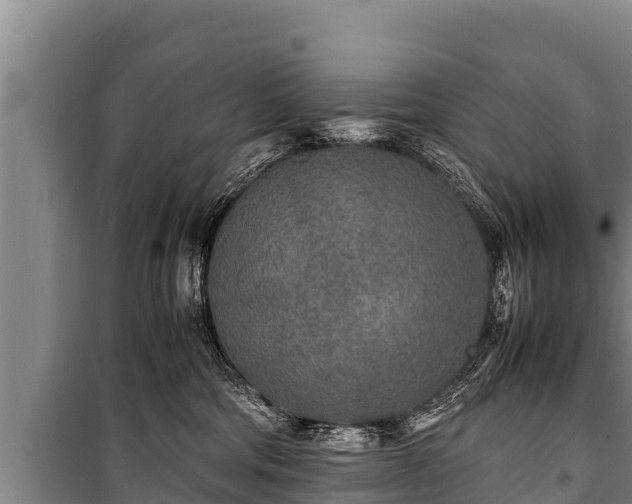 X0000100850330200806271141