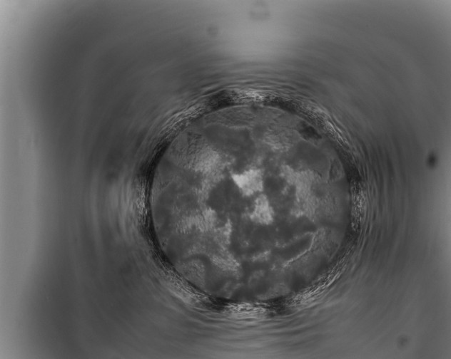 X0000100850331200806271141