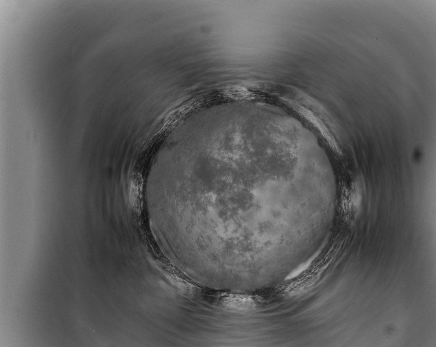 X0000100850332200806271141