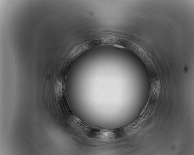 X0000100850333200806271141