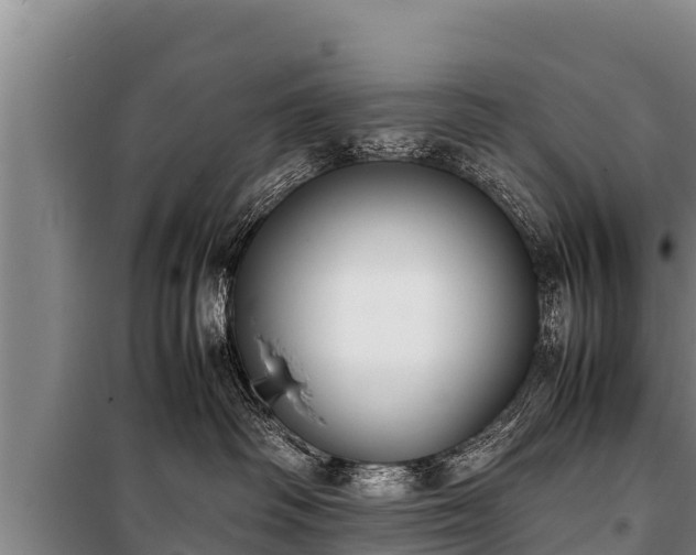 X0000100850334200806271141