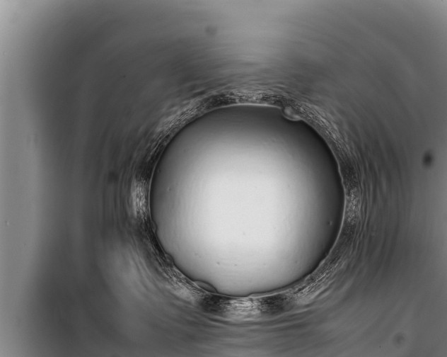 X0000100850335200806271141