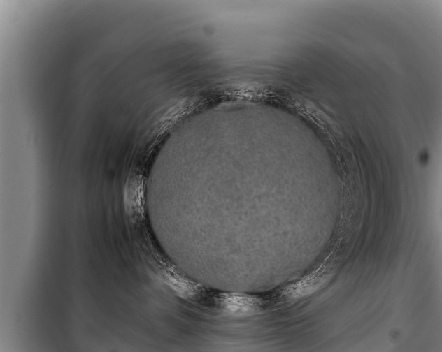 X0000100850336200806271141