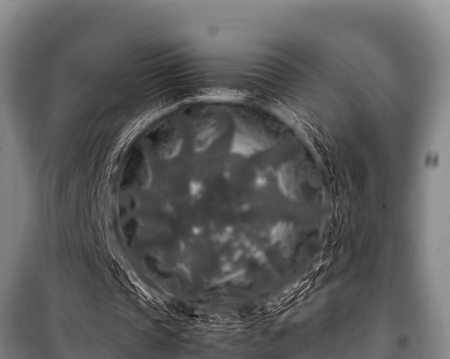 X0000100850337200806271140