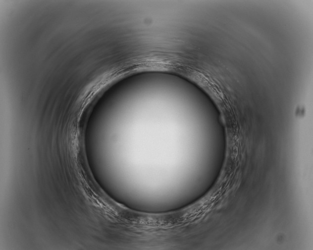 X0000100850338200806271140