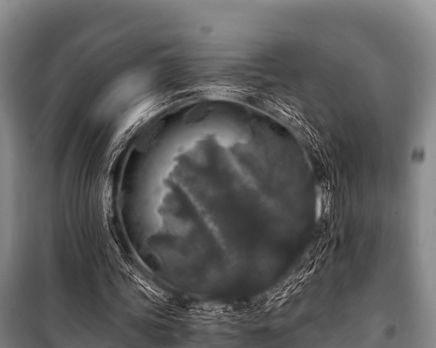 X0000100850339200806271140