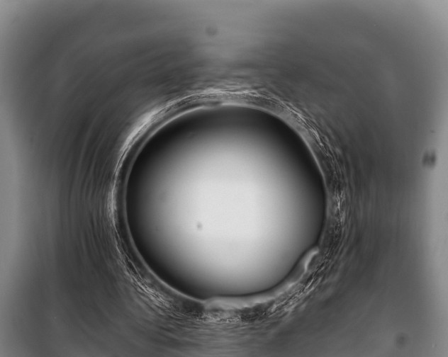 X0000100850340200806271140