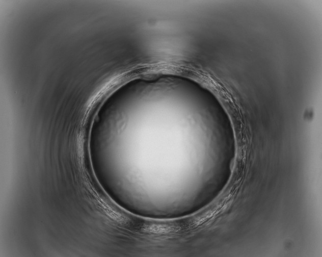 X0000100850341200806271140