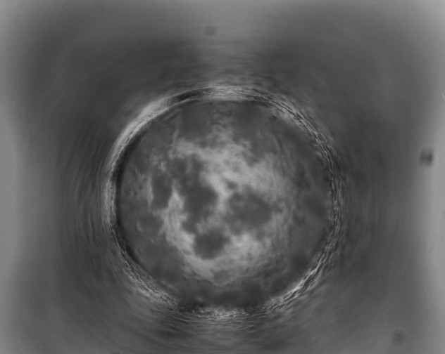 X0000100850343200806271141