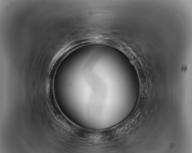 X0000100850344200806271141