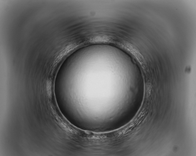 X0000100850345200806271141