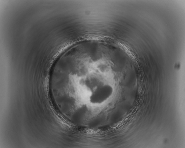 X0000100850346200806271141