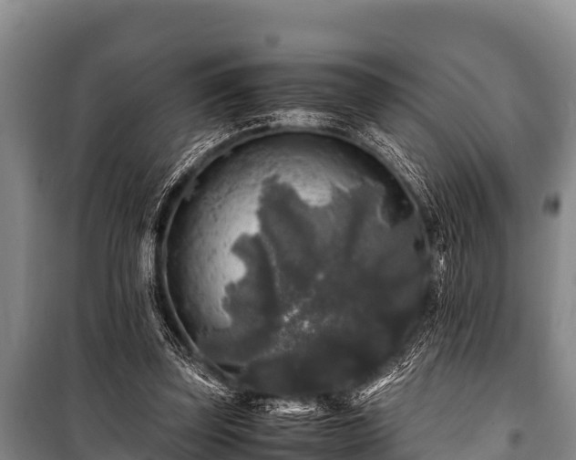 X0000100850347200806271141