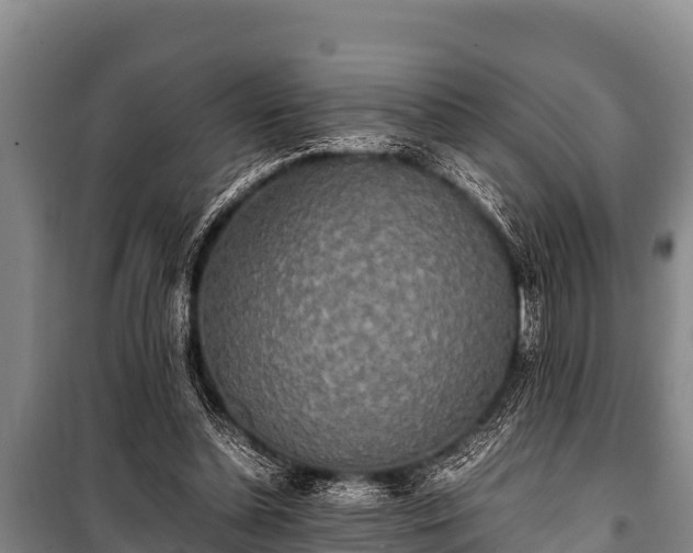 X0000100850348200806271141