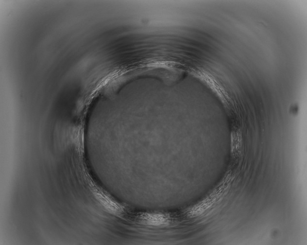 X0000100850349200806271141