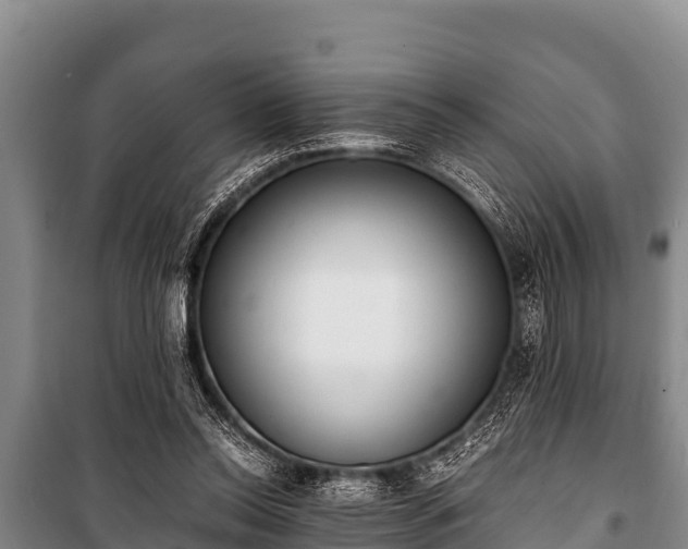 X0000100850350200806271141