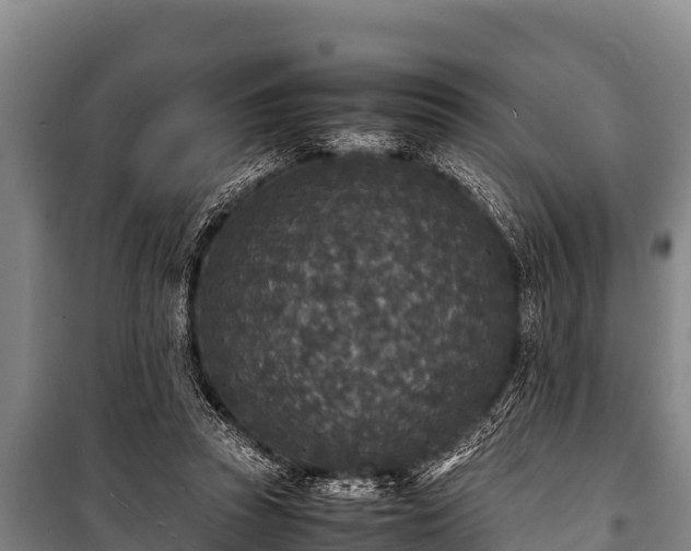 X0000100850353200806271141