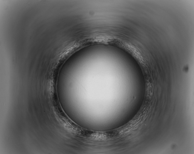 X0000100850354200806271141