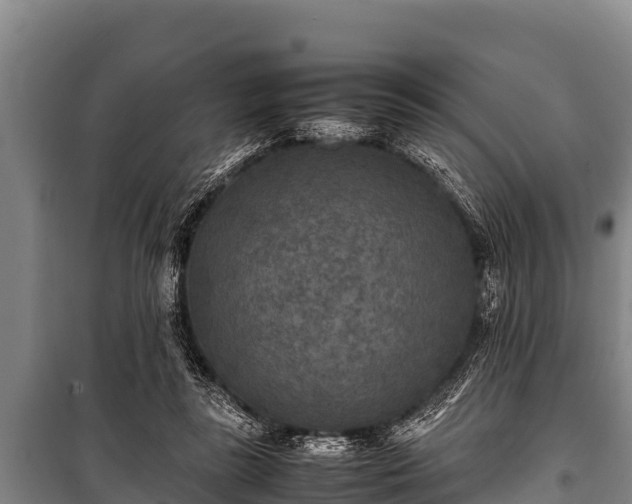 X0000100850355200806271141