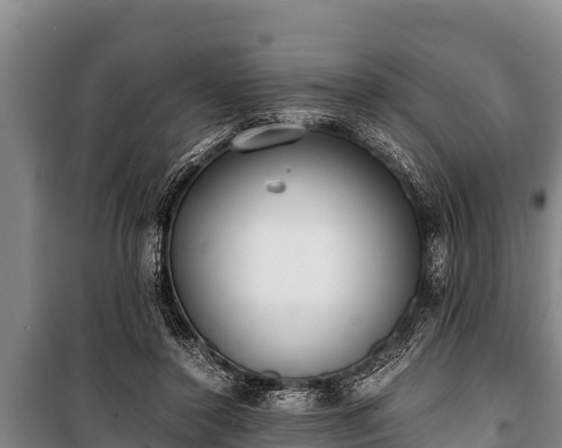 X0000100850356200806271141