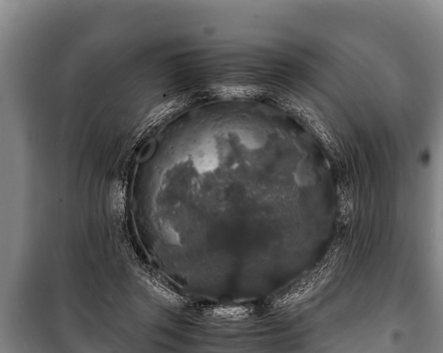 X0000100850357200806271141