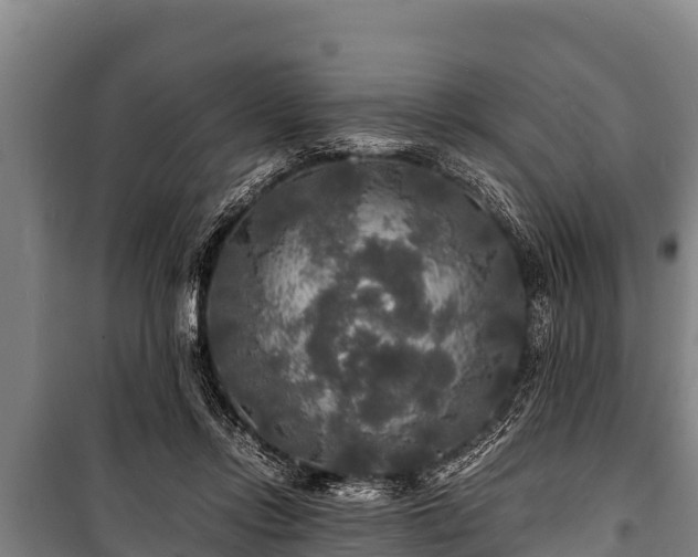 X0000100850358200806271141