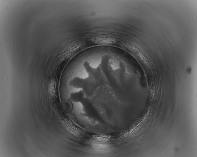 X0000100850359200806271141