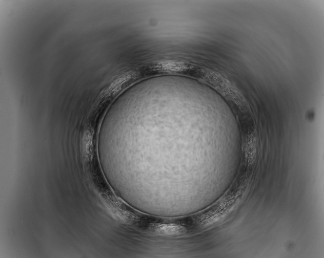 X0000100850360200806271141