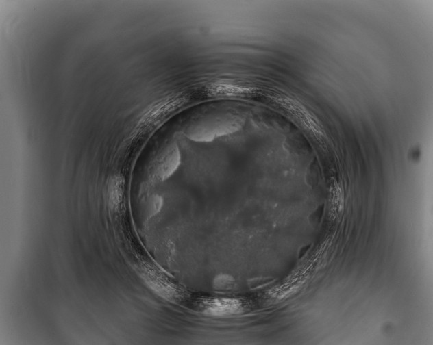 X0000100850361200806271141