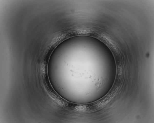 X0000100850362200806271141