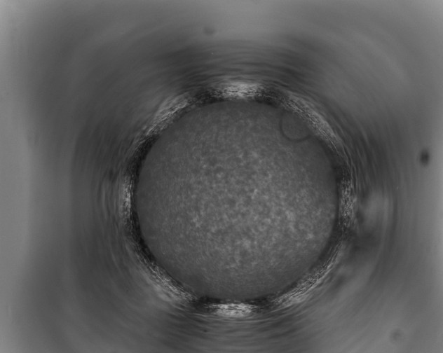 X0000100850363200806271141