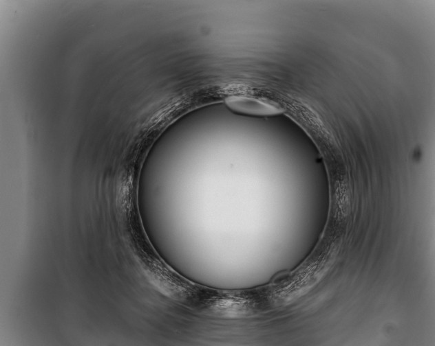 X0000100850364200806271141