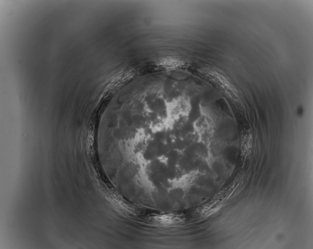 X0000100850365200806271141