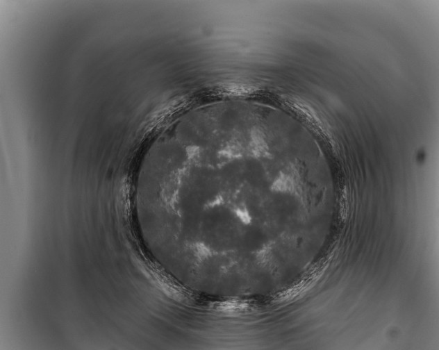 X0000100850366200806271141