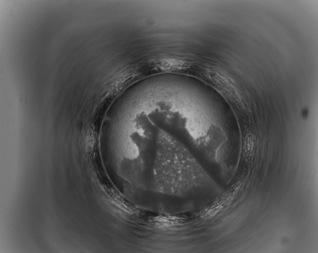 X0000100850367200806271141