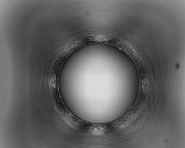 X0000100850368200806271141