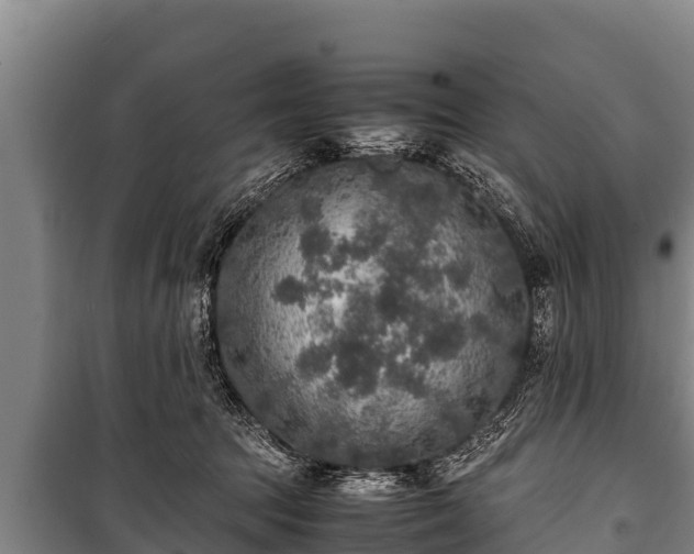 X0000100850369200806271141