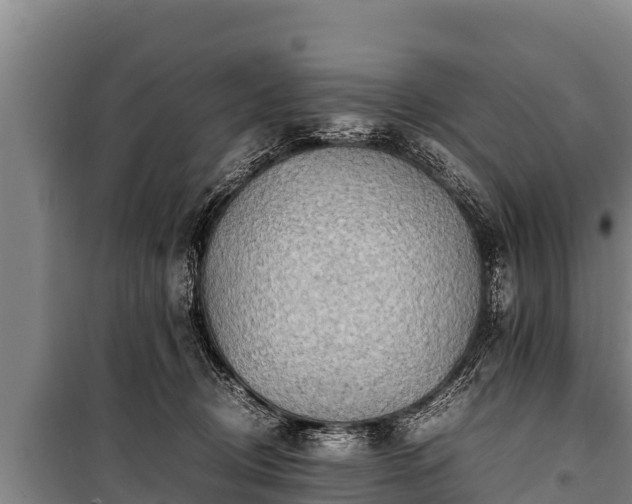 X0000100850370200806271141