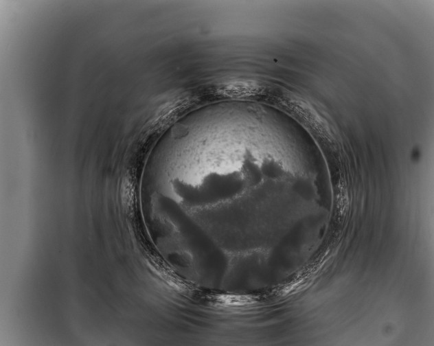 X0000100850371200806271141