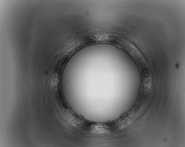 X0000100850372200806271141