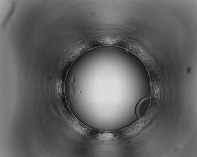 X0000100850374200806271141