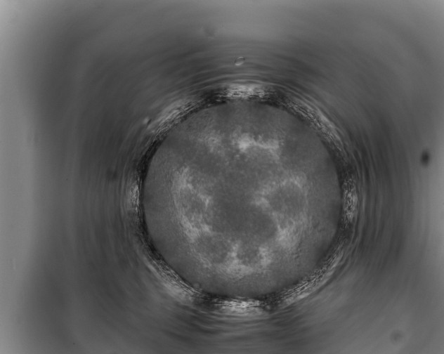 X0000100850375200806271141