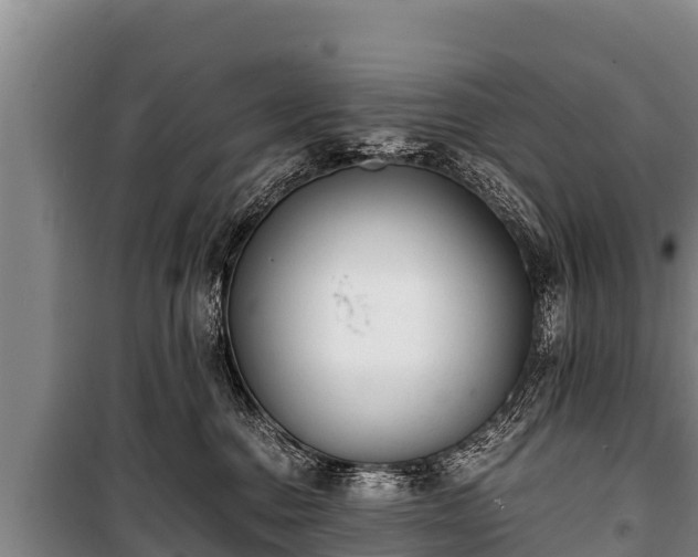 X0000100850376200806271141