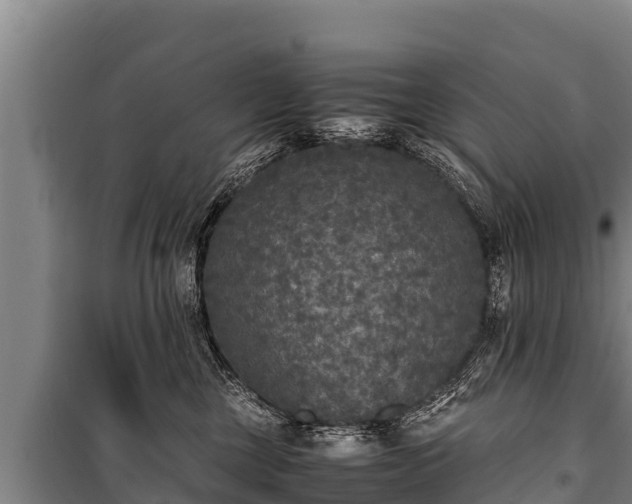 X0000100850377200806271141