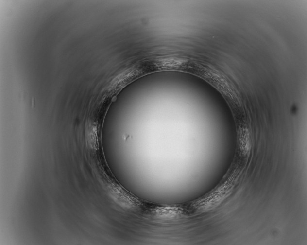 X0000100850378200806271141