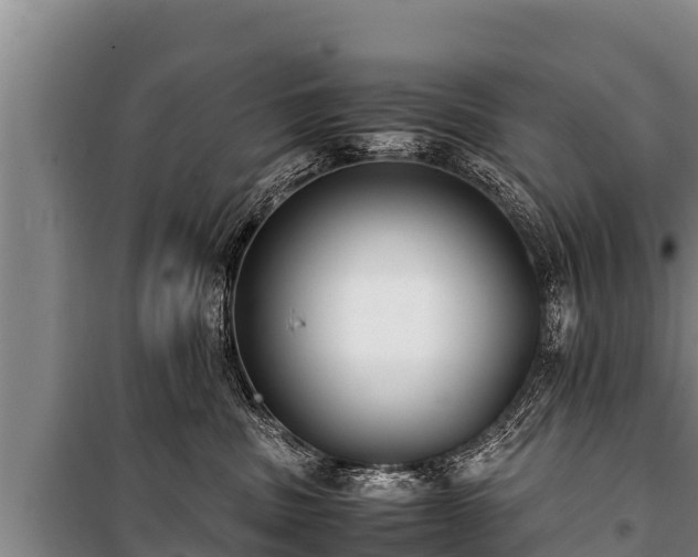 X0000100850379200806271141